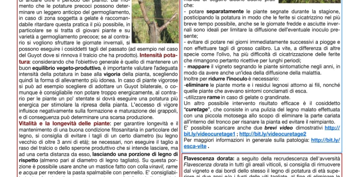Bollettino La Spezia