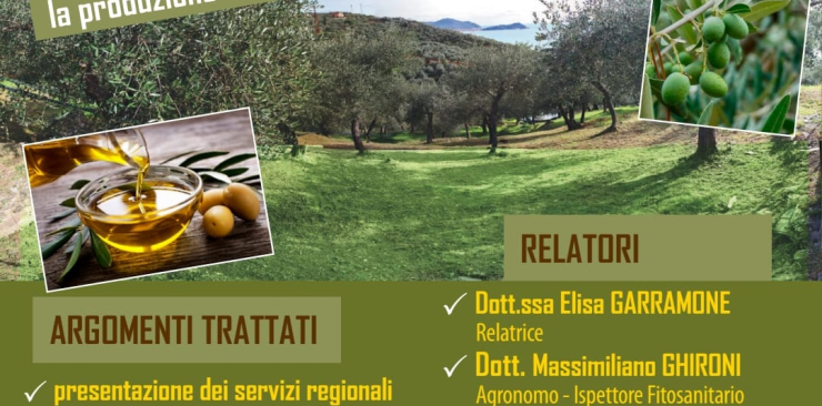 La corretta coltivazione dell'olivo